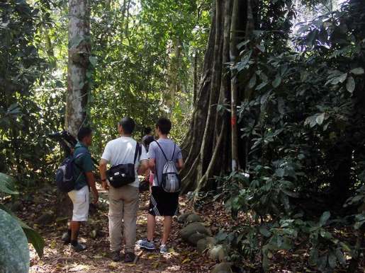 Parque Nacional Carara